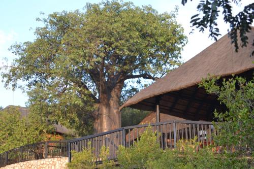 Musina South Africa Sale Discount Code Agoda.com