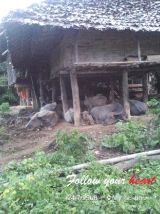 Chiang Mai Thailand Sale Discount Code Agoda.com