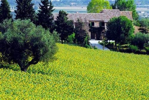 Jesi Italy Sale Discount Code Booking.com