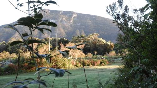 Tsitsikamma South Africa Sale Discount Code Booking.com