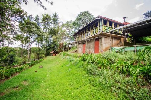 Kericho Kenya Sale Discount Code Agoda.com