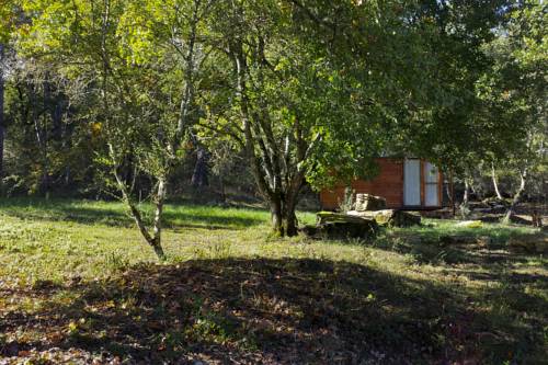 Bucine Italy Sale Discount Code Booking.com