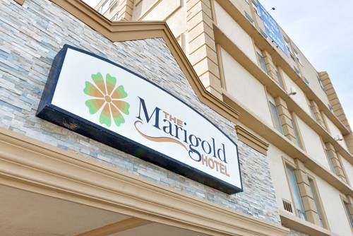 Brampton (Ontario) Canada Sale Discount Code Booking.com