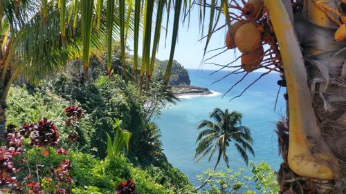 Sainte-Luce Martinique Sale Discount Code Agoda.com