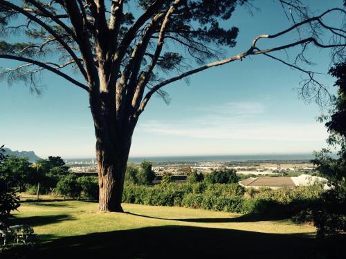 Cape Town South Africa Sale Discount Code Agoda.com