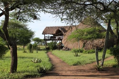 Serengeti National Park Tanzania Sale Discount Code Booking.com