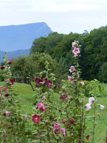 Saint-Girod France Sale Discount Code Booking.com