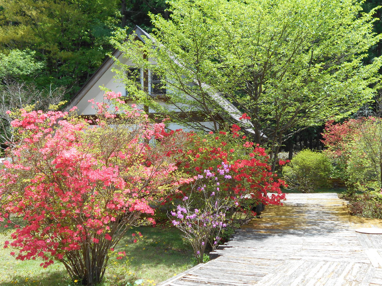 Nikko Japan Sale Discount Code Agoda.com