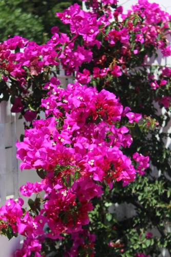 Palermo Italy Sale Discount Code Booking.com