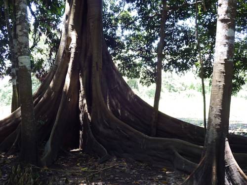 Pucallpa Peru Sale Discount Code Booking.com