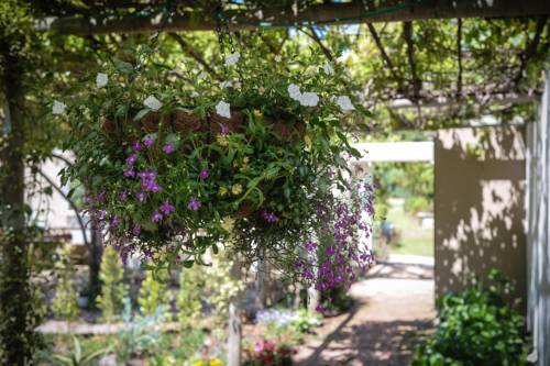 Grabouw South Africa Sale Discount Code Booking.com