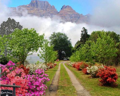 Dragon Peaks South Africa Sale Discount Code Booking.com