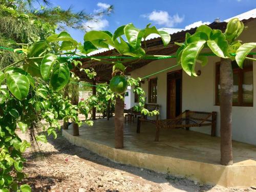 Zanzibar Tanzania Sale Discount Code Agoda.com