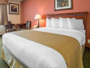Winnemucca (NV) United States Sale Discount Code Agoda.com
