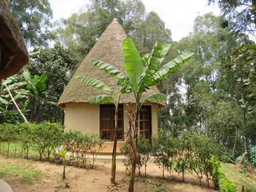 Kabale Uganda Sale Discount Code Agoda.com